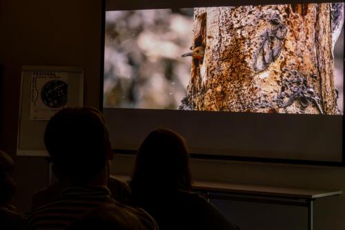 Filmfestival-Zug-2023- .NEF-226-Verbessert-RR