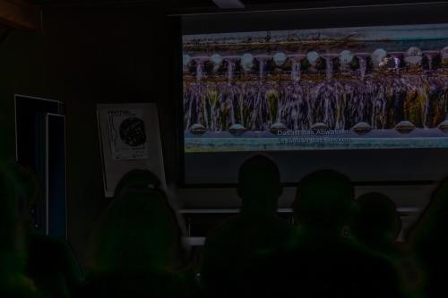 Filmfestival-Zug-2023- .NEF-411-Verbessert-RR