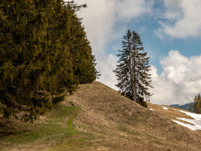 004 Frühling-2019-103