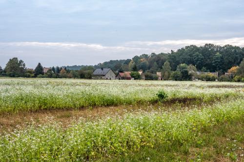3001-Lausitz-Bad-Muskau-Goerlitz-3001-Lausitz-Uhyst-Bad-Muskau-Lausitz-2022-2692