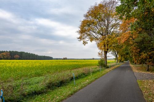 3018-Lausitz-Bad-Muskau-Goerlitz-3018-Lausitz-Uhyst-Bad-Muskau-Lausitz-2022-2251