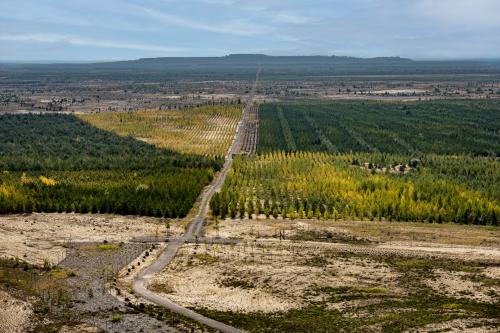 059-Lausitz-Braunkohle-Lausitz-2022-2049-Bearbeitet