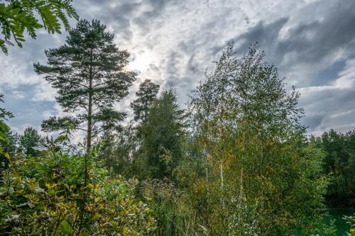 2021-Lausitz-Uhyst-Bad-Muskau-Lausitz-2022-1505