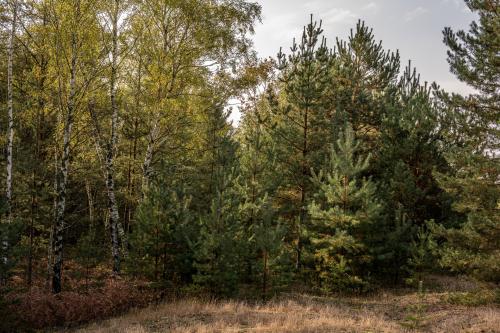 2029-Lausitz-Uhyst-Bad-Muskau-Lausitz-2022-2838