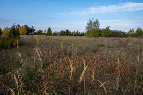 2030-Lausitz-Uhyst-Bad-Muskau-Lausitz-2022-1373