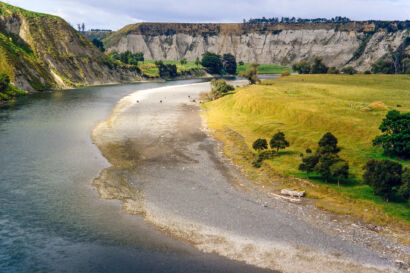 New Zealand 216