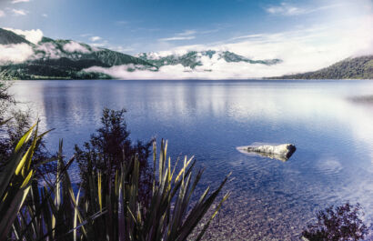 New Zealand 322
