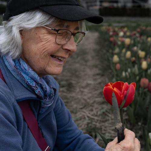 11-Silvia-Tulpen-106