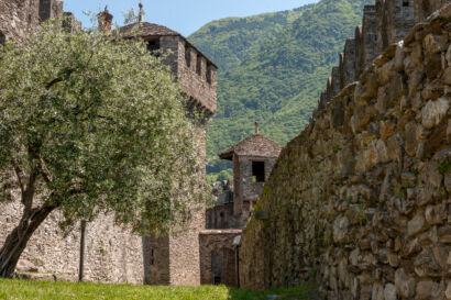 Bellinzona  0091