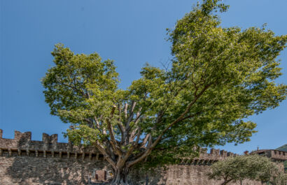 Bellinzona  0099-Bearbeitet