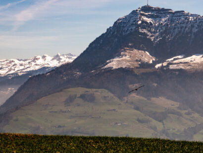 018-Michaelskreuz-287-UHD