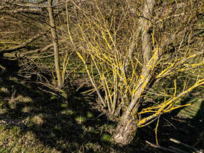 022-Michaelskreuz-297-UHD