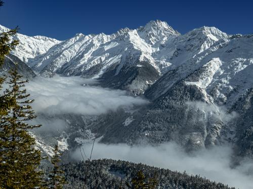 0023-Winter-2024-25