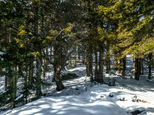 0024-Winter-2024-25