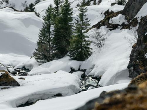 0031-Winter-2024-25