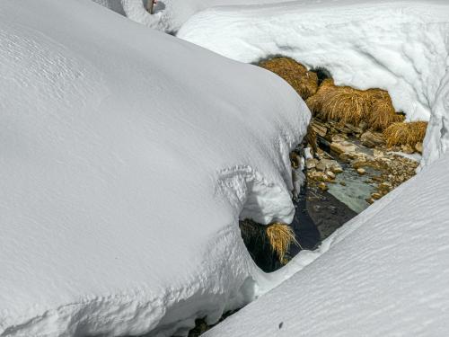 0034-Winter-2024-25