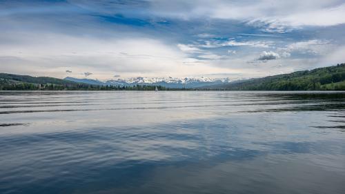 0263-Ynglin-Regatta-2024-Hallwilersee