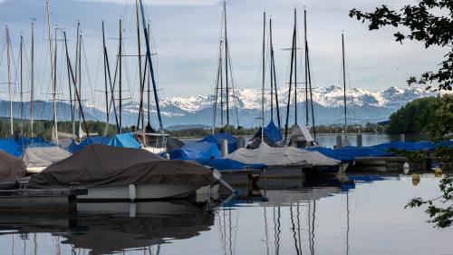 0531-Ynglin-Regatta-2024-Hallwilersee