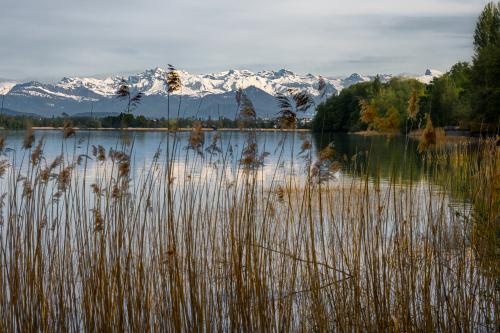 0537-Ynglin-Regatta-2024-Hallwilersee