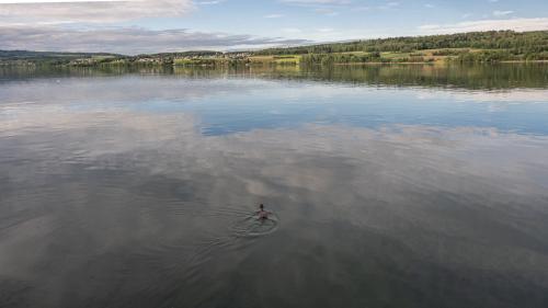 0546-Ynglin-Regatta-2024-Hallwilersee