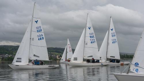0630-Ynglin-Regatta-2024-Hallwilersee