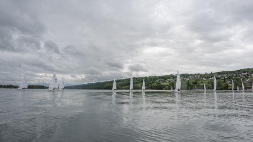 0637-Ynglin-Regatta-2024-Hallwilersee