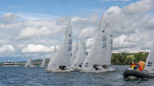 0799-Ynglin-Regatta-2024-Hallwilersee