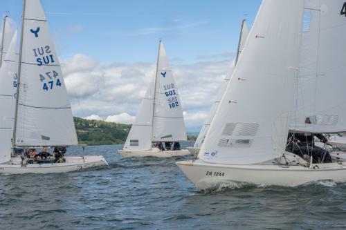 0804-Ynglin-Regatta-2024-Hallwilersee
