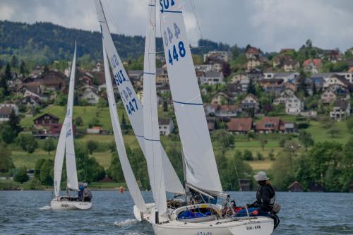 0809-Ynglin-Regatta-2024-Hallwilersee