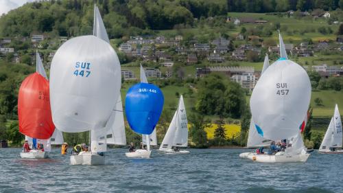 0830-Ynglin-Regatta-2024-Hallwilersee