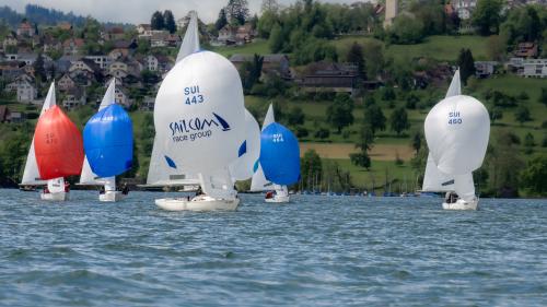 0841-Ynglin-Regatta-2024-Hallwilersee