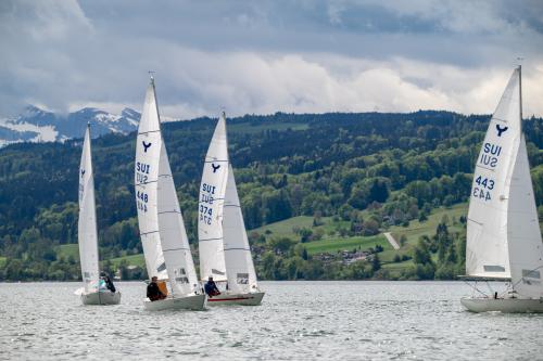 0904-Ynglin-Regatta-2024-Hallwilersee