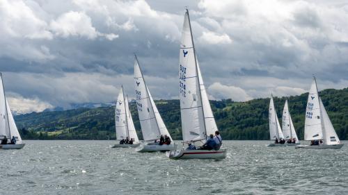 0936-Ynglin-Regatta-2024-Hallwilersee