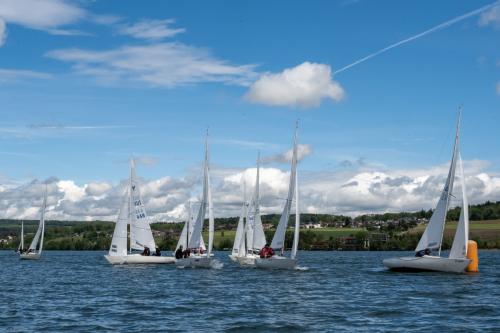 0948-Ynglin-Regatta-2024-Hallwilersee