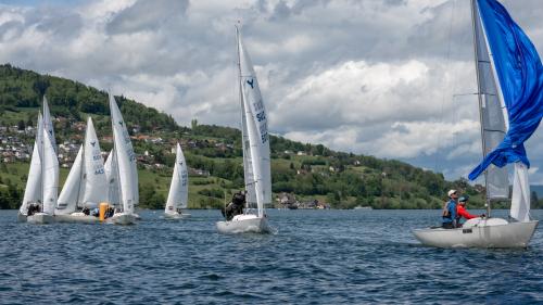 1017-Ynglin-Regatta-2024-Hallwilersee