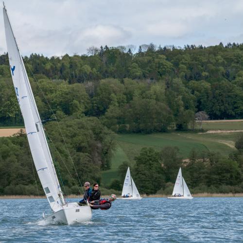 1126-Ynglin-Regatta-2024-Hallwilersee