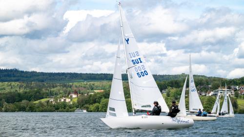 1132-Ynglin-Regatta-2024-Hallwilersee
