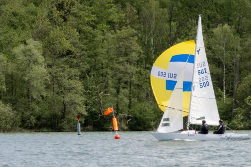 1173-Ynglin-Regatta-2024-Hallwilersee