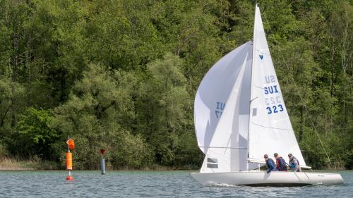 1197-Ynglin-Regatta-2024-Hallwilersee